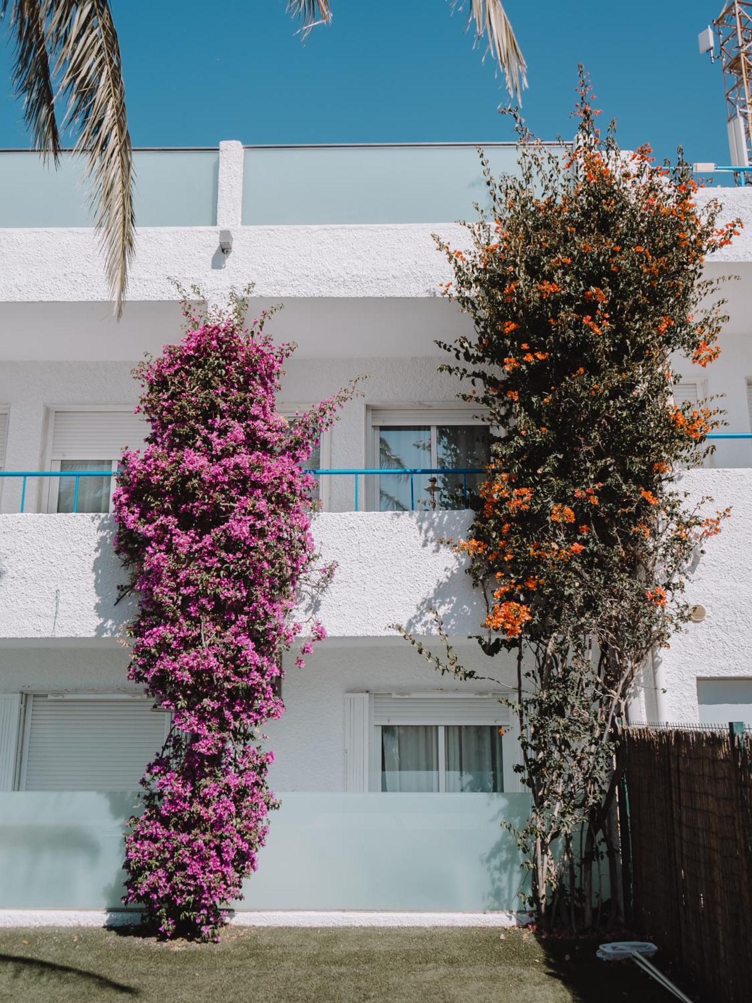 Hostal Las Gaviotas Del Cabo San Jose  Ngoại thất bức ảnh